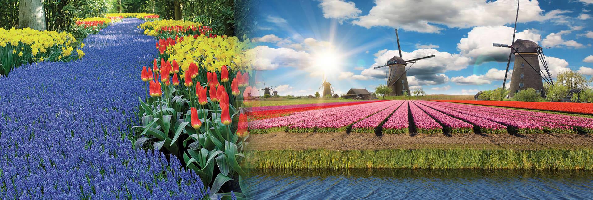 Holland River Cruise Hero Image